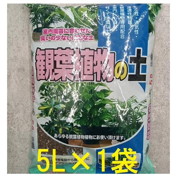 北海道産天然たらの木乾燥５キロ 北海道産 天然 たらの木 乾燥 3キロ 【公式通販】