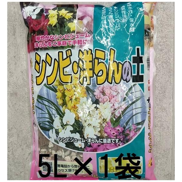 原種系　洋蘭　　5鉢価格 洋蘭 素焼き鉢 5．0号 6枚 板倉製陶