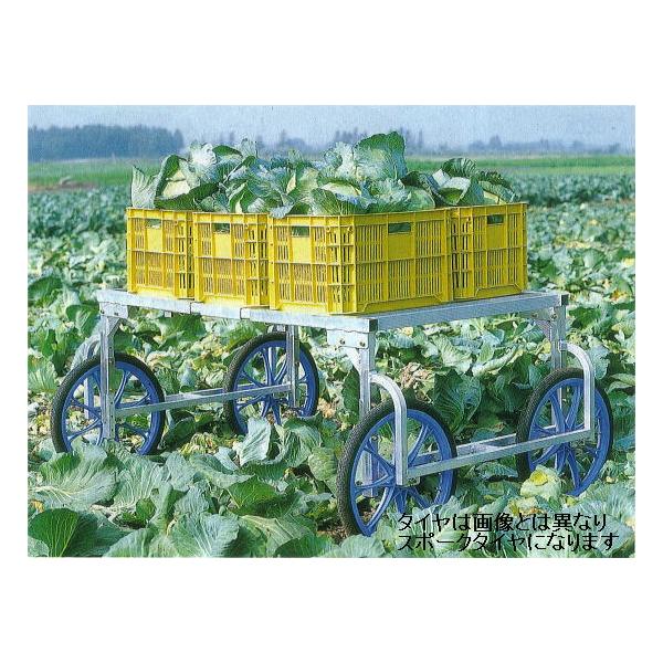 nbNX yY RA-100N (m[pN^C TR-20×1.75N) A~ n (@l/l I)