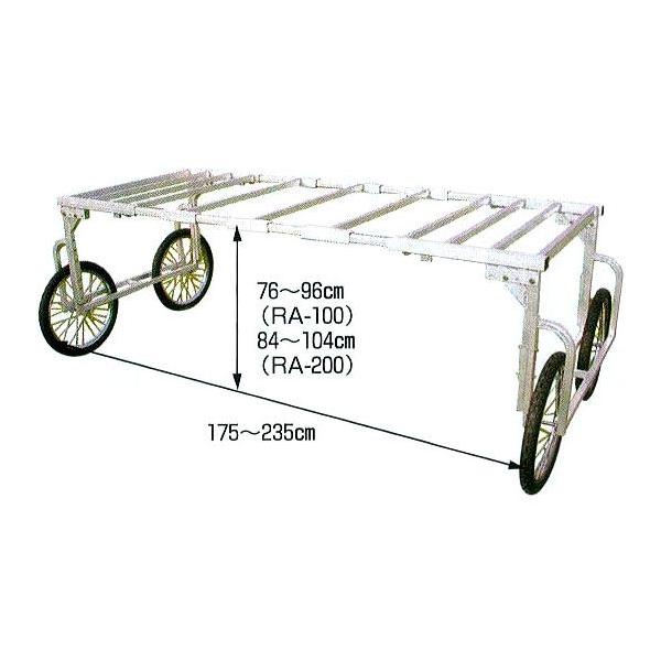 yY RA-100ARA-200p̕Li (IO̐LkV) RA-W2350 {͕̂ʔł nbNX (@l/l I)@