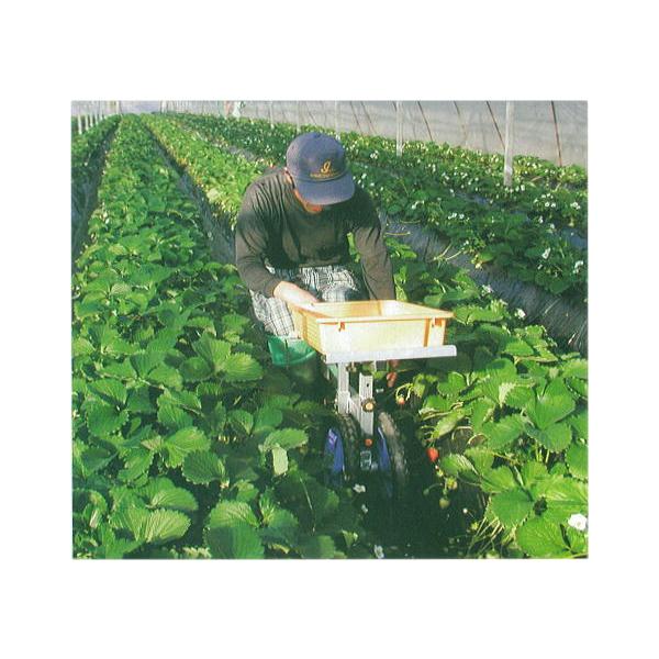 nbNX NG RS-700S (m[pN^C TR-12N) A~ np ֎qŒ莮 (@l/l I)