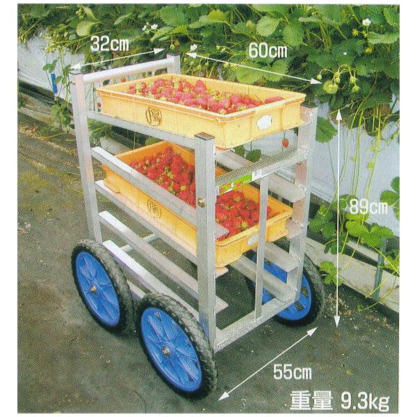 nbNX ؍ SW-514 (m[pN^C TR-14N) 5i΂ߒu^Cv A~ npS (@l/l I)
