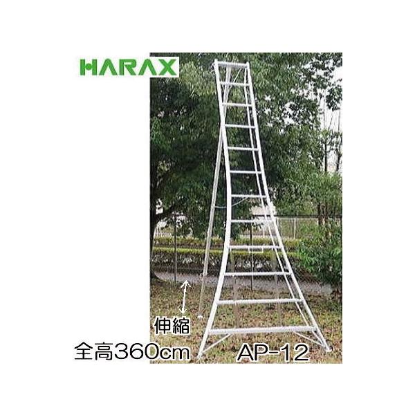 nbNX AXebv AP-12 A~ Orr 12 360cm Lk̓^Cv (@lorZ^AcƏ )