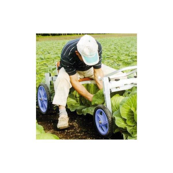 nbNX iGbR NKH-600S pAtEnpƎ OցAցFm[pN^C (@l/l I)