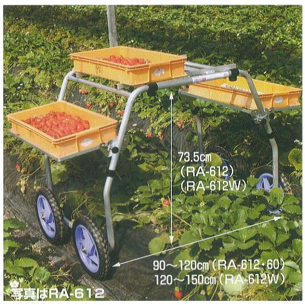 nbNX yY RA-612W (m[pN^C TR-12N) ^C 120`150cm A~ np (@l/l I)