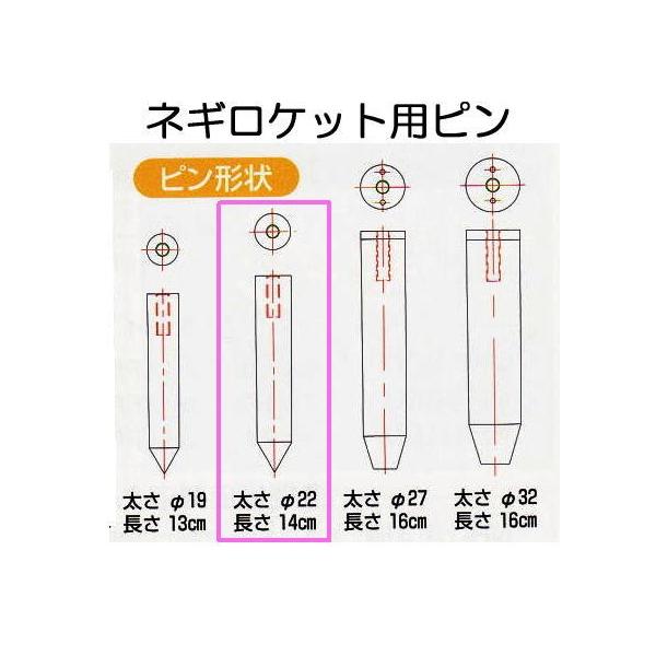 nbNX lMPbgps 22mm×14cm N-P22 lMApp