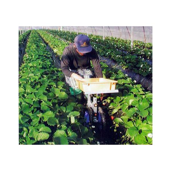 nbNX NG RS-800K (m[pN^C TR-12N) A~ np ֎q] (@l/l I)