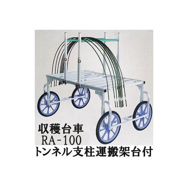 �y���Y (RA-100 �� RA-PH �Z�b�g) �g���l���x���^���ˑ�t�� (�@�l/�l �I��)