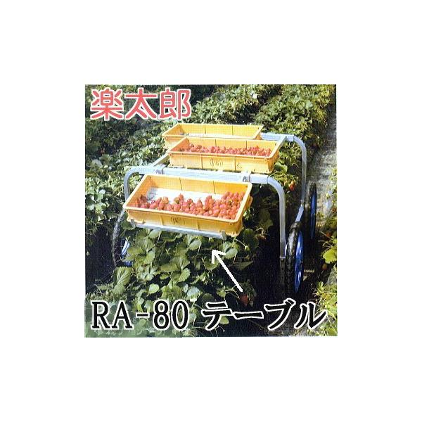 yY RA-80pe[u RA-TB nbNX A~ nԗp (@l/l I)@