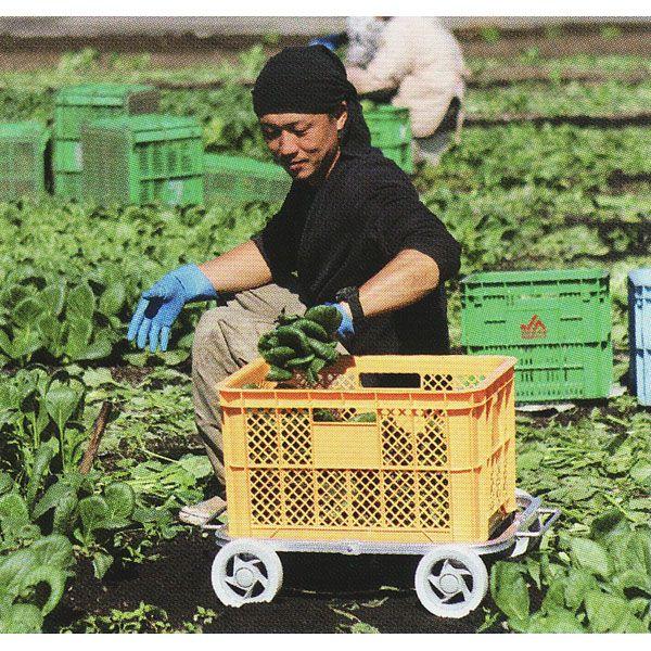 (lzOK) A~n ؍ CH-20H (u) Ᏸu^Cv nbNX zs