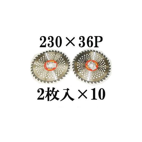 (20Zbg ) ACEbh y X[p[JK[ @p `bv\[ y 230×36P 2×10i20gj@