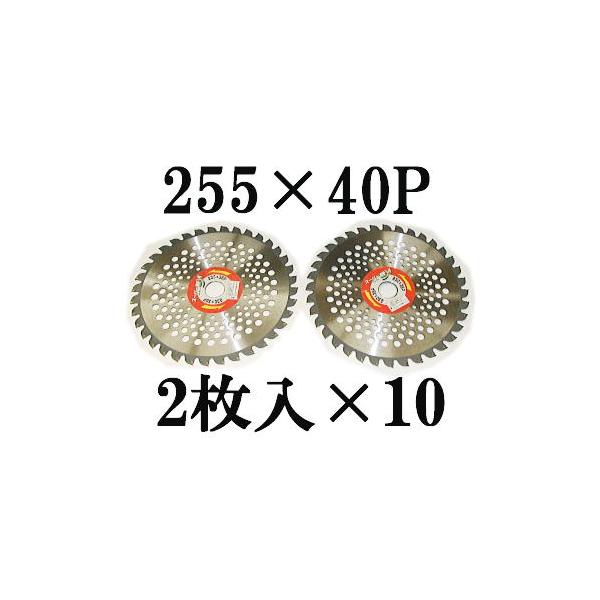 (20Zbg ) ACEbh y X[p[JK[ @p `bv\[ y 255×40P 2×10 (20g) (zmC2)