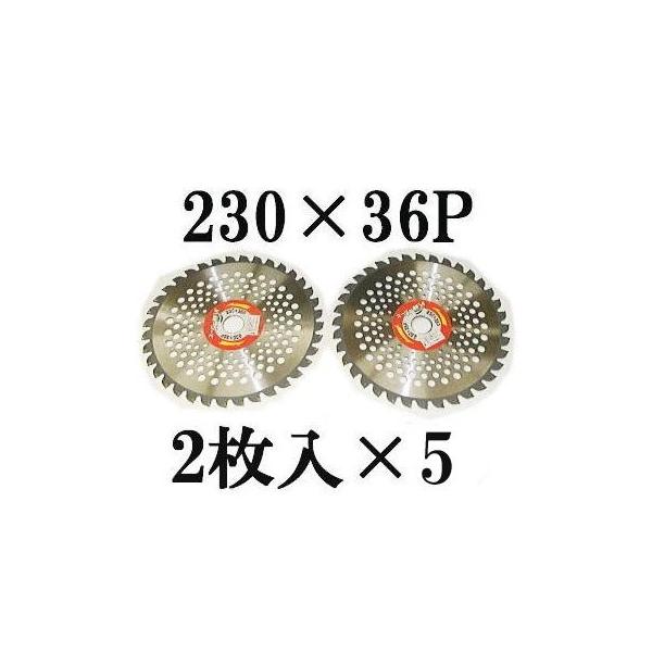 (10Zbg ) ACEbh y X[p[JK[ @p `bv\[ y 230×36P 2×5 (10g)