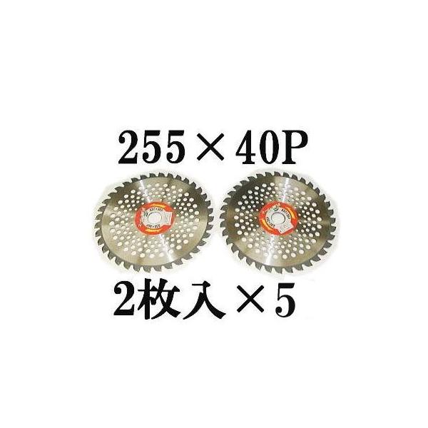 (10Zbg ) ACEbh y X[p[JK[ @p `bv\[ y 255×40P 2×5i10gj@