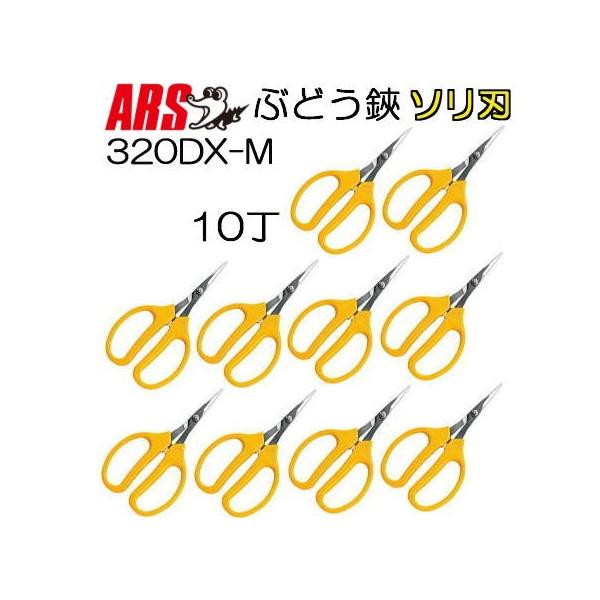 (p10Zbg) ARS (AX) ԂǂfbNX \n (ܓ) 320DX-M Ȑn (zmC4/zsk)