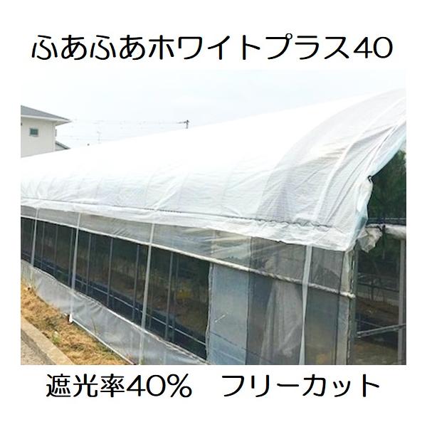 ふあふあホワイトプラス40 カット販売 遮光率40％ ハウス遮熱