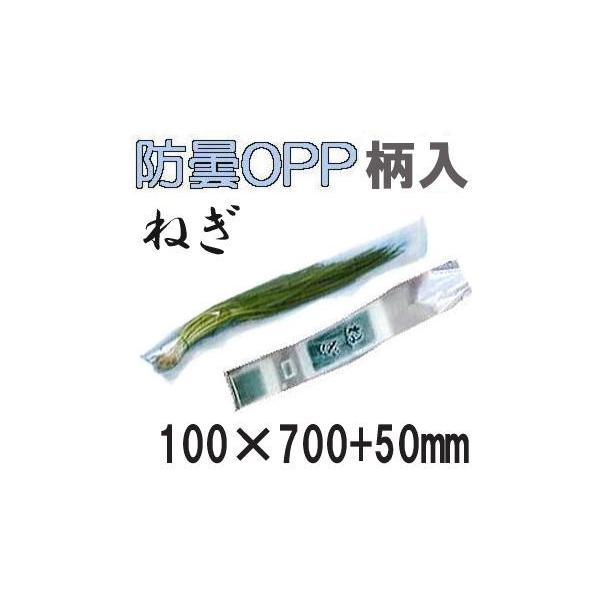 (5000) bvC xWV[^[p˂ ˂ 20 100×700+50 2H () ؑ zAL