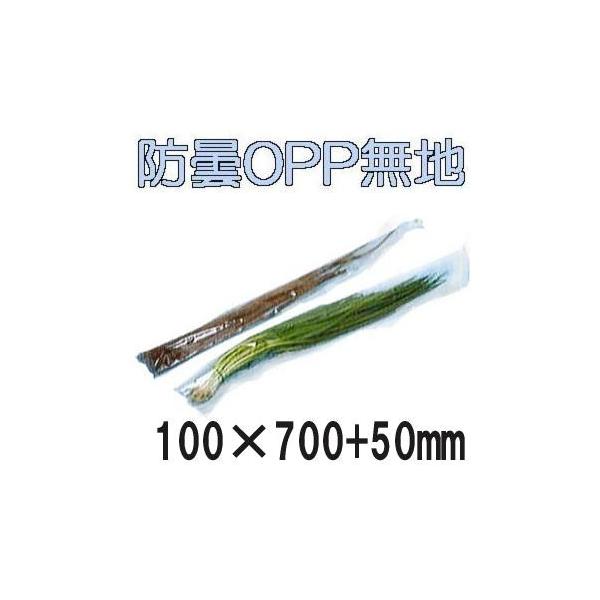 (5000) bvC OPPh xWV[^[p n 20 100×700+50 4H P}[N ؑ (˂Aɂ) zAL