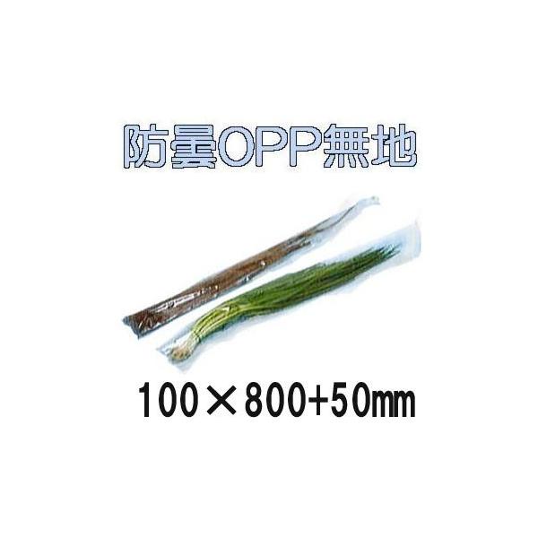 (5000) bvC OPPh xWV[^[p n 20 100×800+50 4H P}[N ؑ (˂Aڂ) zAL