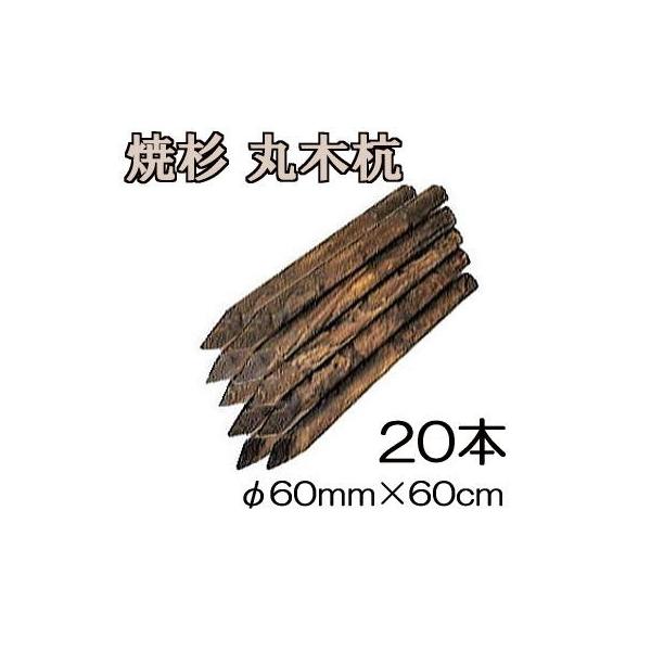 ([2T) (ĐY 20{Zbg) Ă ۑ Y ۖ؍Y ؍Y 2 60mm×60cm 60×600mm HpY prY