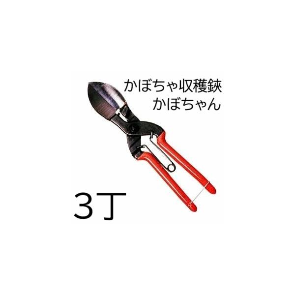 (3丁セット) 諏訪田製作所 かぼちゃ収穫鋏 かぼちゃん 210mm (かぼちゃ鋏 カボチャ鋏 南瓜鋏 にんにく鋏 ニンニク鋏 大蒜に スワダ) (ネコポス×2個)　mato
