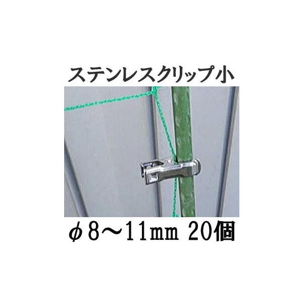 (20Zbg) XeXNbv () 8`11mmp |Eƒ؉p x~ F{X (zmG4)