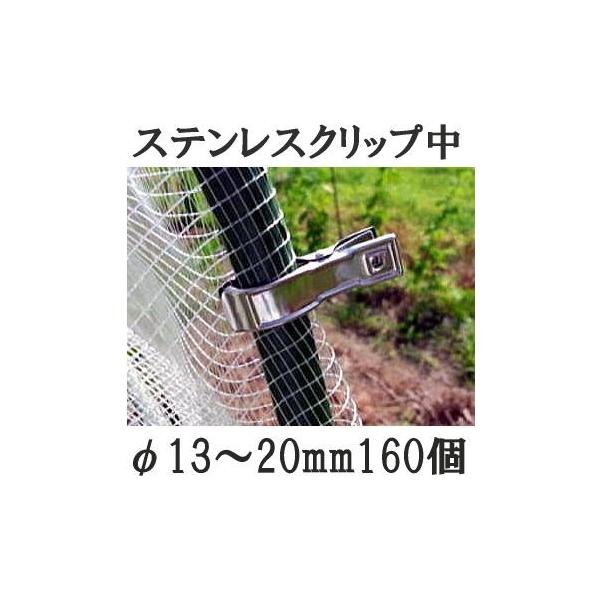 (16×10 160Zbg) XeXNbv () 13`20mmp |p x~ F{X (^[pbN)