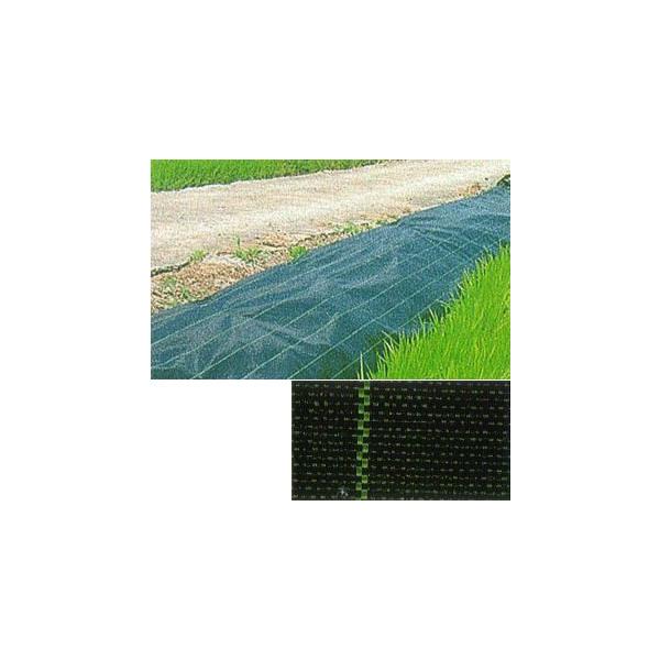 (ϋv hV[g) JPV[g  250cm×100 (FI ororor) (hpV[g) JNCJ