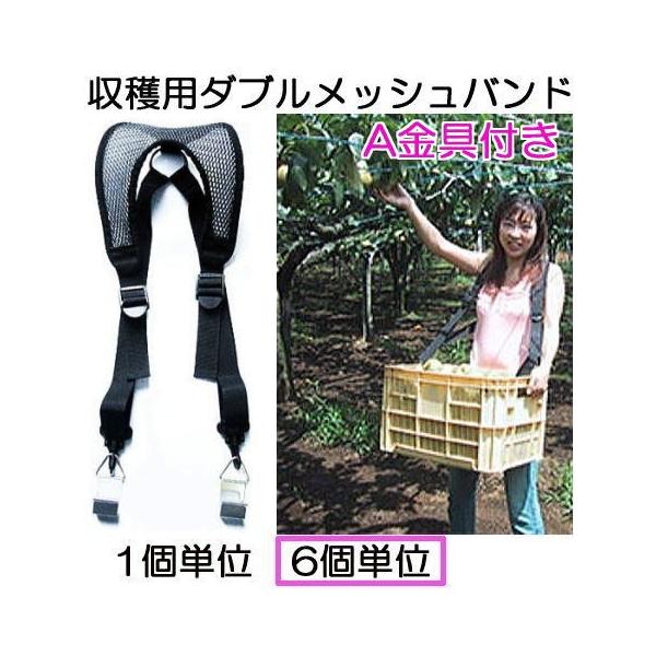 (6Zbg) noh At np _ubVoh Reioh ݂艺p |L[xg |xg ogih