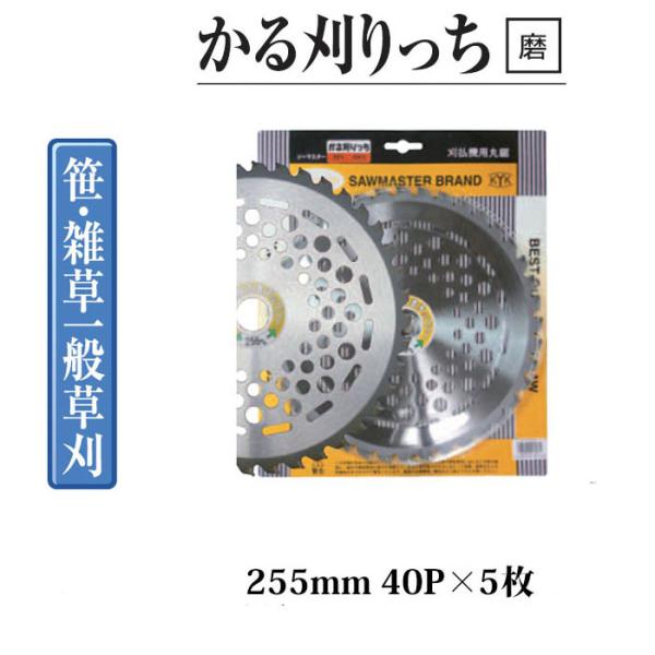 (5Zbg) M̓{ p`bv\[ 銠 255mm 40P ×5 邩 ֐m SM-1722