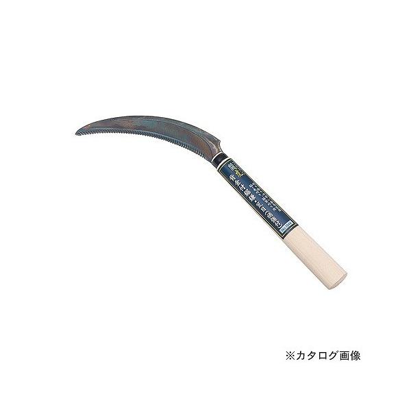 L{V 1544  wtEr (⋭t) ̂芙 