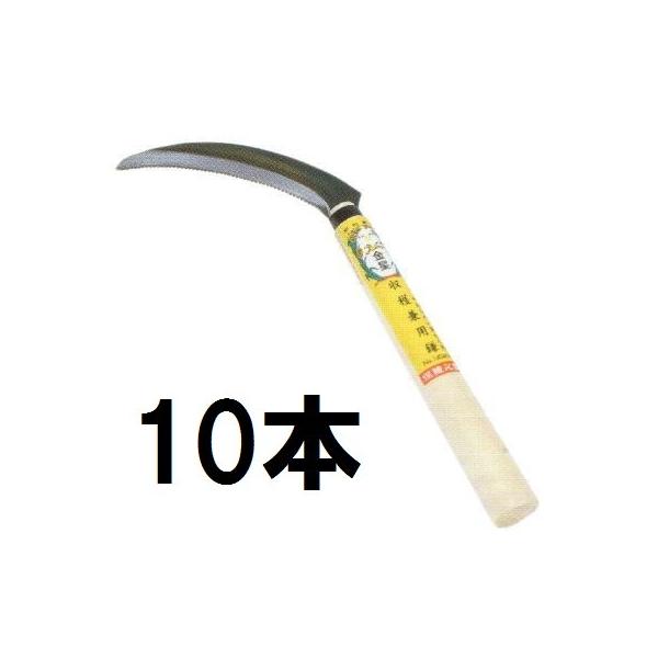 (10{Zbg) np (ڐnt)  140469 L{V  ̂芙 (zsn)