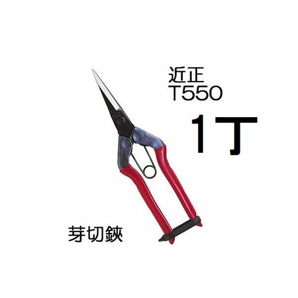 tackey_kisi0002