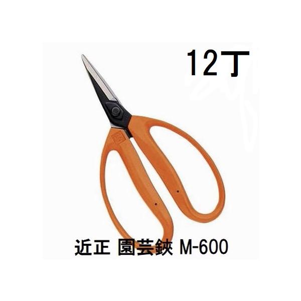 まーちさま専用商品 楽天市場】台湾産 【 頤心斎 サチマ 227g 】 レーズン入りサチマ