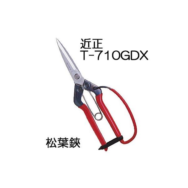 (2�������[���ց�300��) �ߐ� ���t�� �K�[�h�t T-710GDX �`�J�}�T (2�����l�R�|�X��)