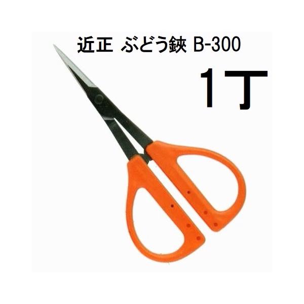 CHIKAMASA（近正） (メール便￥300可) (標準包装) ぶどう鋏 B-300