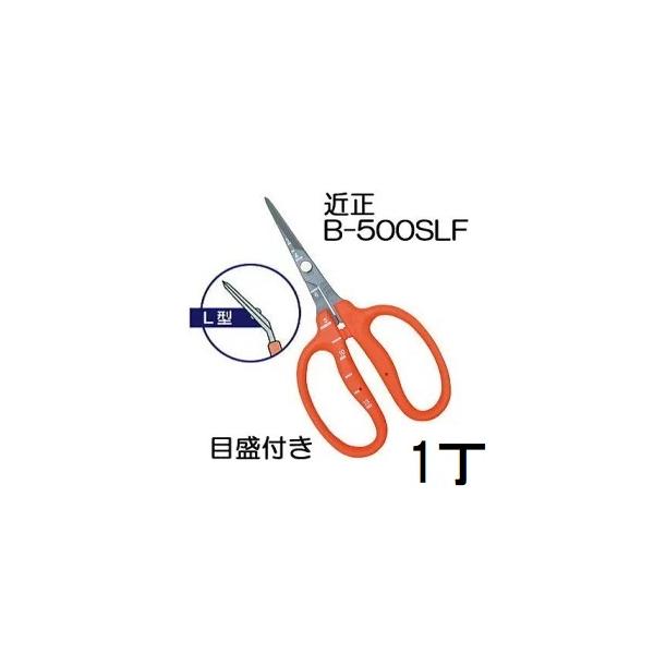 4丁迄メール便￥300可) 近正 ぶどう鋏 B-500SLF L型 曲げ刃 ステンレス