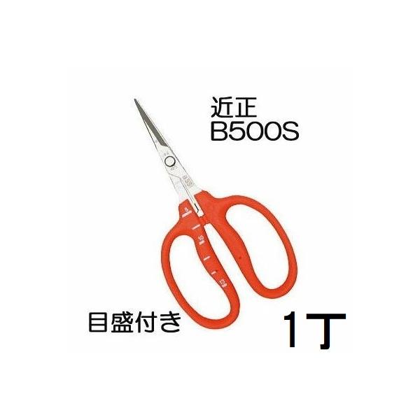 12本迄メール便￥300可) (標準包装) 近正 ステンレス ぶどう鋏 B-500S