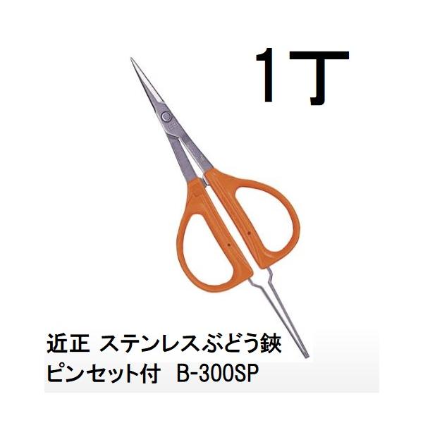 4丁迄メール便￥300可) 近正 ステンレスぶどう鋏・ピンセット付 B