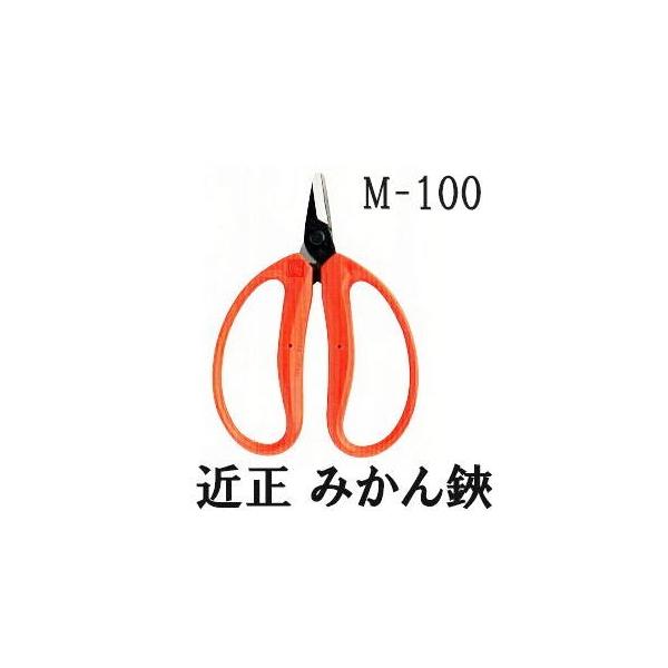 10丁迄メール便￥300可) 近正 みかん鋏 M-100 チカマサ (10丁迄