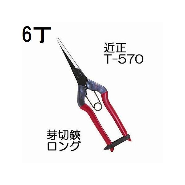 tackey_kisi3003-6
