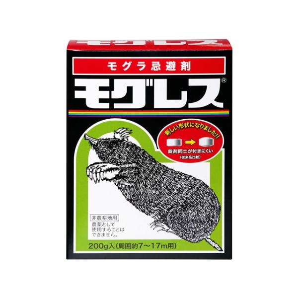 tackey_kita0001