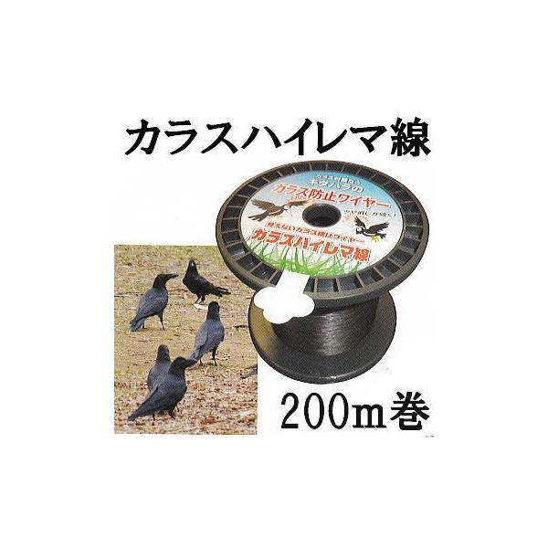 家庭用耐熱ガラス*/*/マミー カラス除けネット DCM 防獣用品 2×3m | ホームセンター通販はDCM