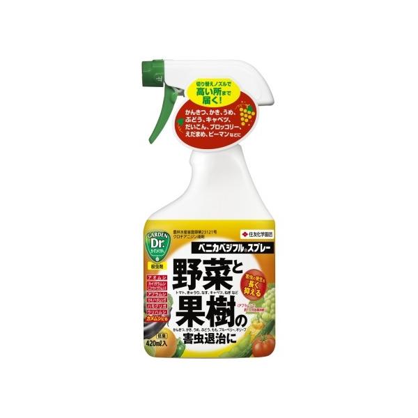 ZFw| xjJxWtXv[ 420ml Qގ E (zs)