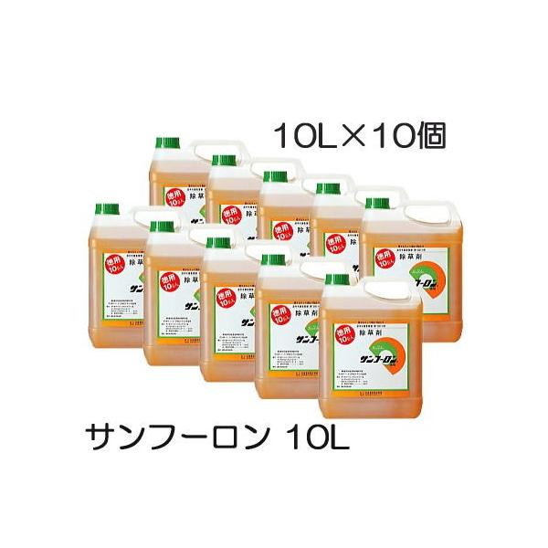 (10{Zbg)  Tt[ 10L×10Zbg p100L ߗp ܂Ō͂炷 听_ XMi  _kno^