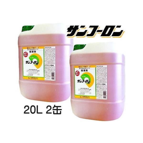 ([)  Tt[ 20L×2  ߗp ܂Ō͂炷 听_ XMi  _kno^