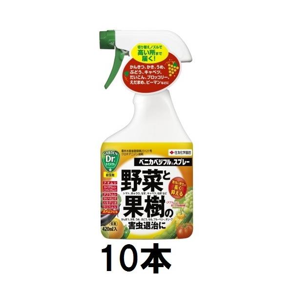 (10{Zbg) ZFw| xjJxWtXv[ 420ml Qގ E (zs)