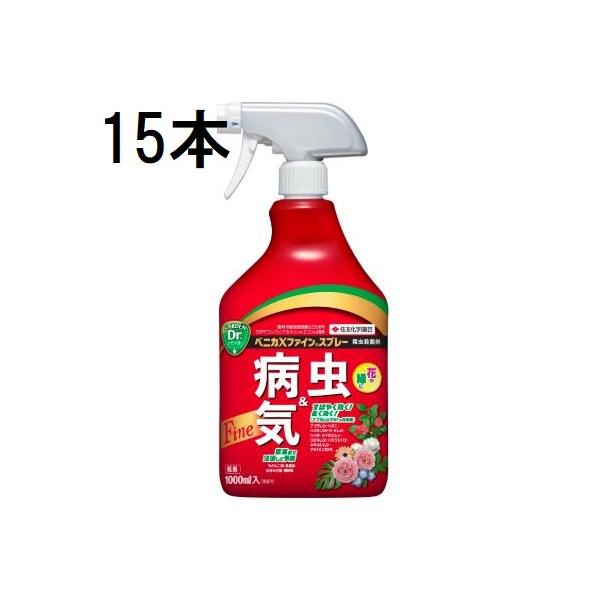 tackey_kitj5079