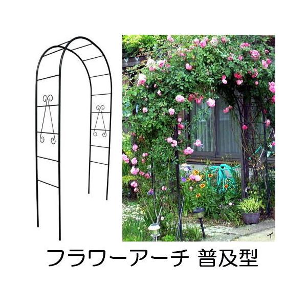 t[A[` y^ No.216 W120×D40×H240 (30cm܂) oA[` O[K[f {@