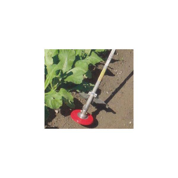 ̃VF[o[ No.0859 ̏p @pA^b`g Oz (zmhaya)